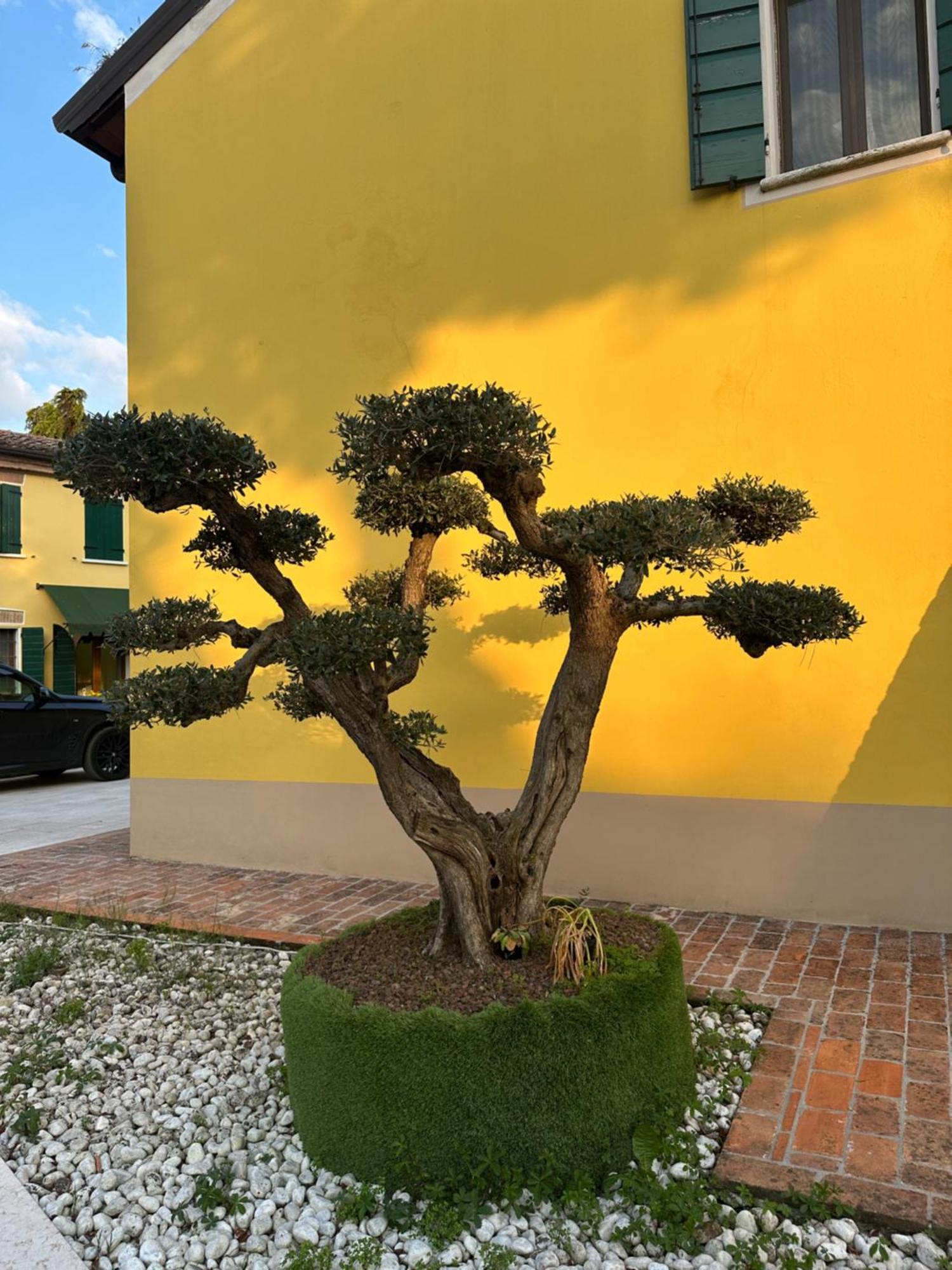 Agriturismo Corte Capiluppia Curtatone Εξωτερικό φωτογραφία