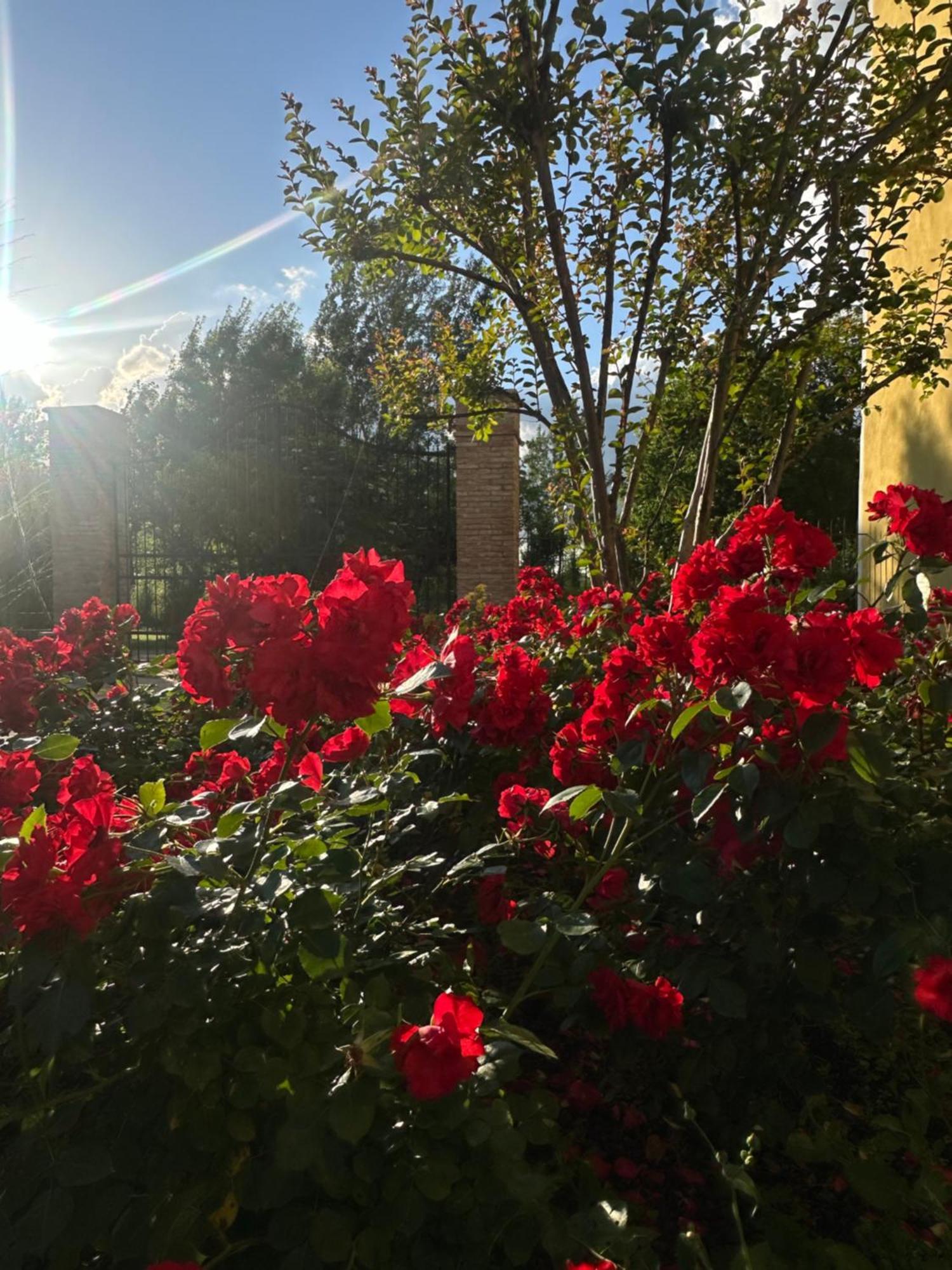 Agriturismo Corte Capiluppia Curtatone Εξωτερικό φωτογραφία
