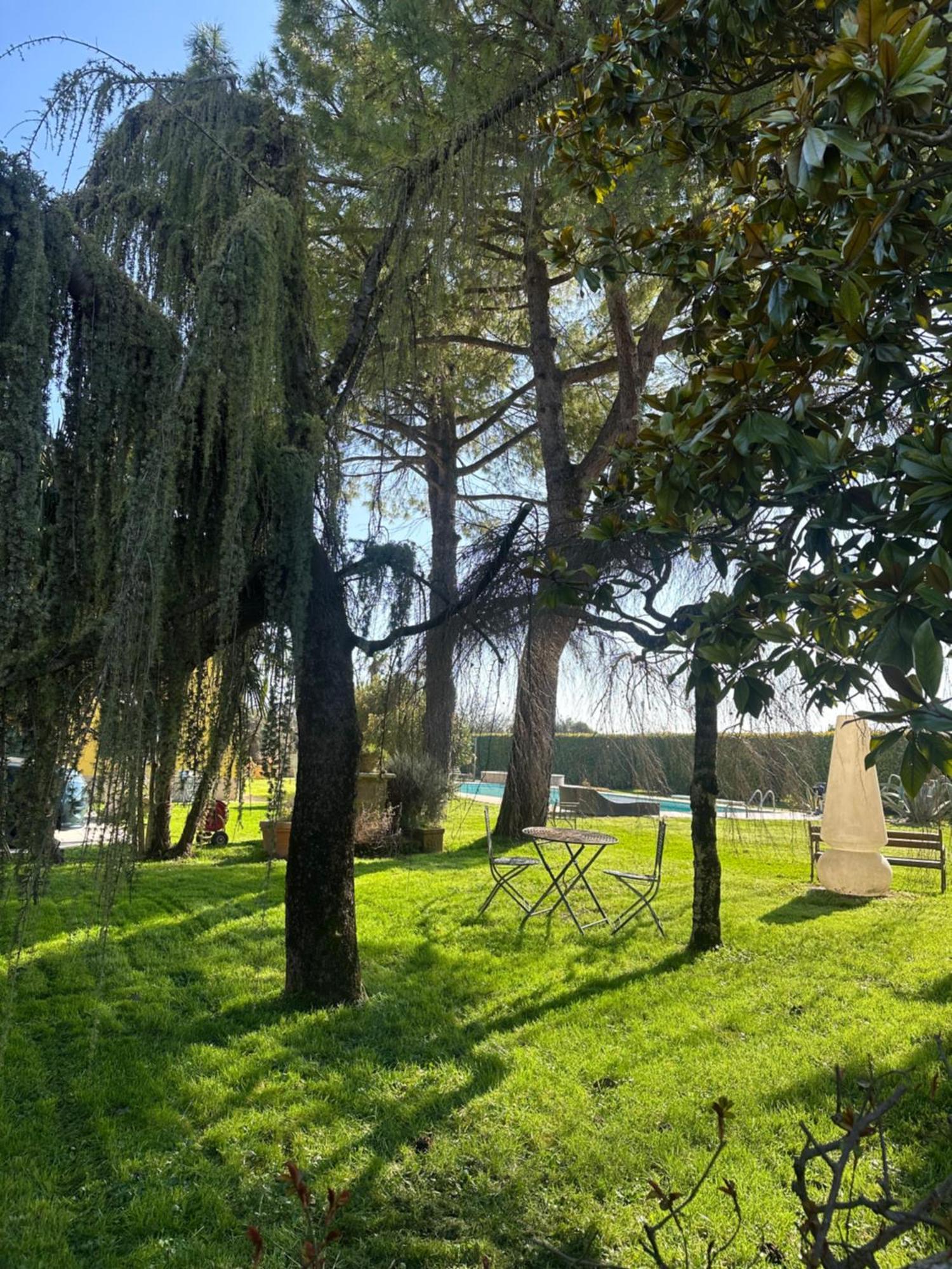 Agriturismo Corte Capiluppia Curtatone Εξωτερικό φωτογραφία